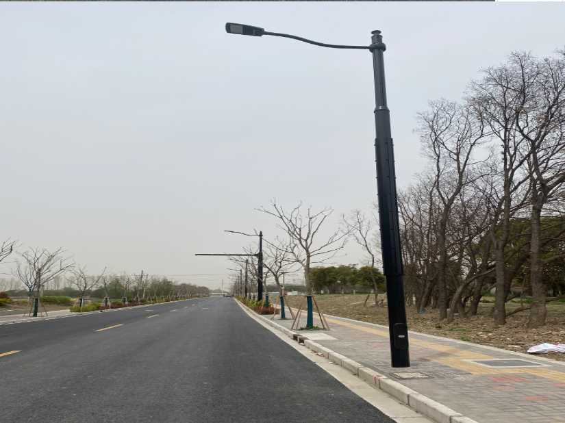 丰城市上海综合杆 太阳能路灯工程